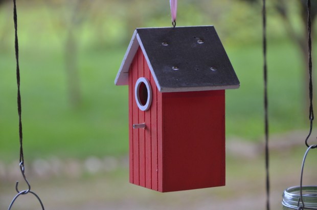 birdhouse-1060939_1280