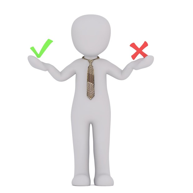 males-2339843_1280(10)