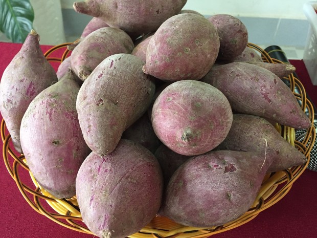 potato-2394773_1280