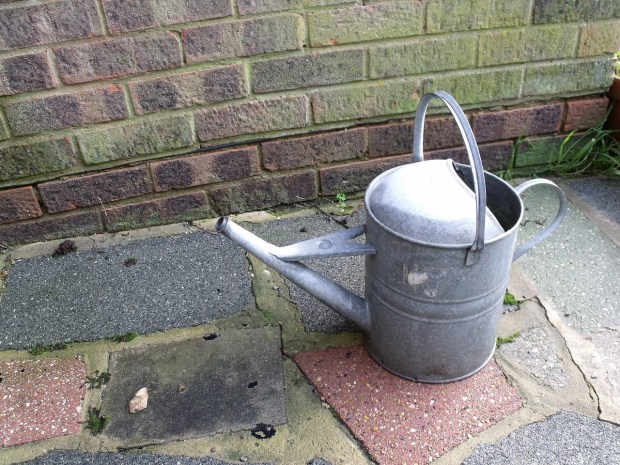 watering-163923_1280