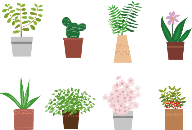 potted-plant-5335130_1280