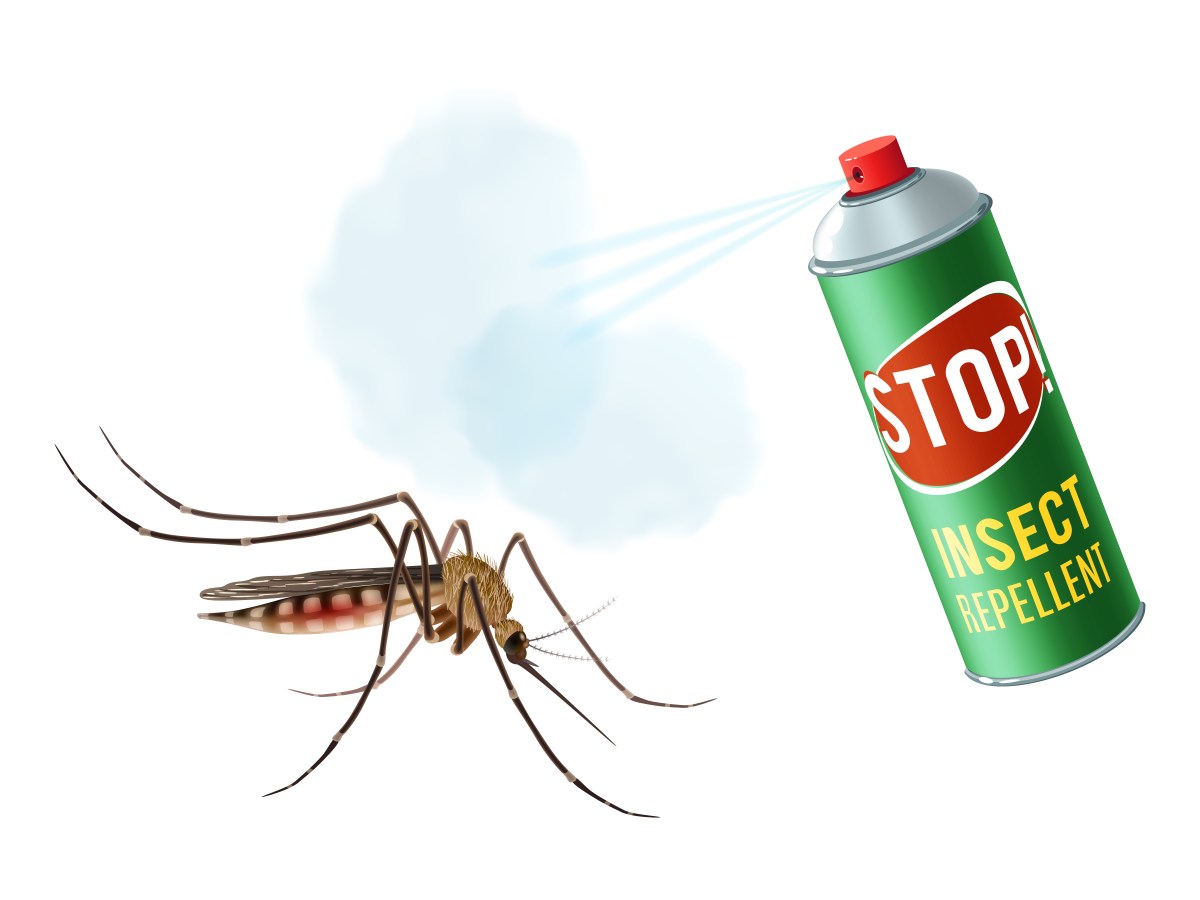 Comment repousser les moustiques chez vous ? – Le-blog-de-la-maison.org