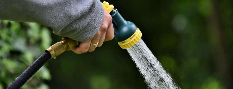 Une personne qui arrose